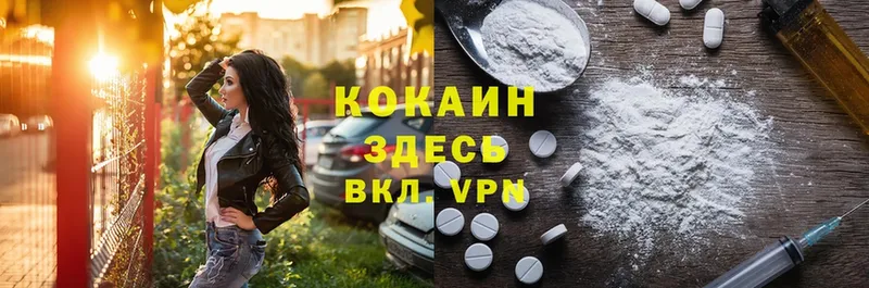 Cocaine FishScale  купить закладку  Весьегонск 