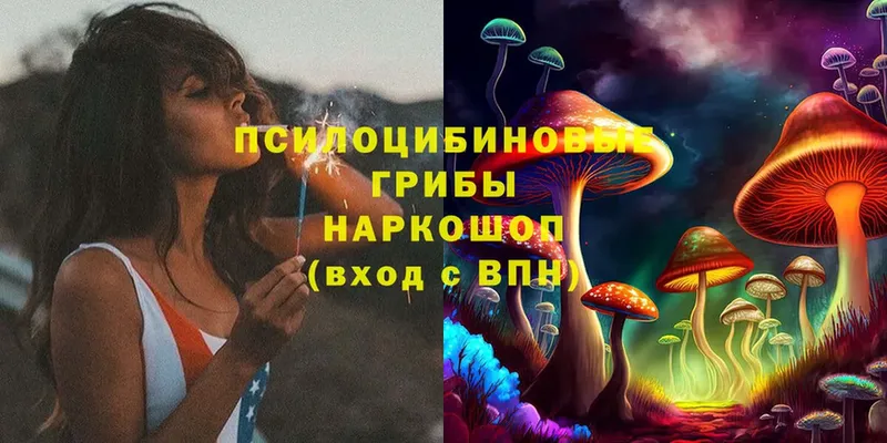 Псилоцибиновые грибы MAGIC MUSHROOMS  мега вход  Весьегонск 